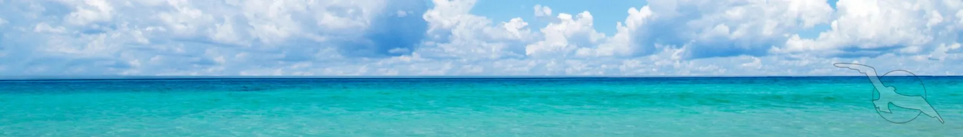 Reisebüro / Profibereich